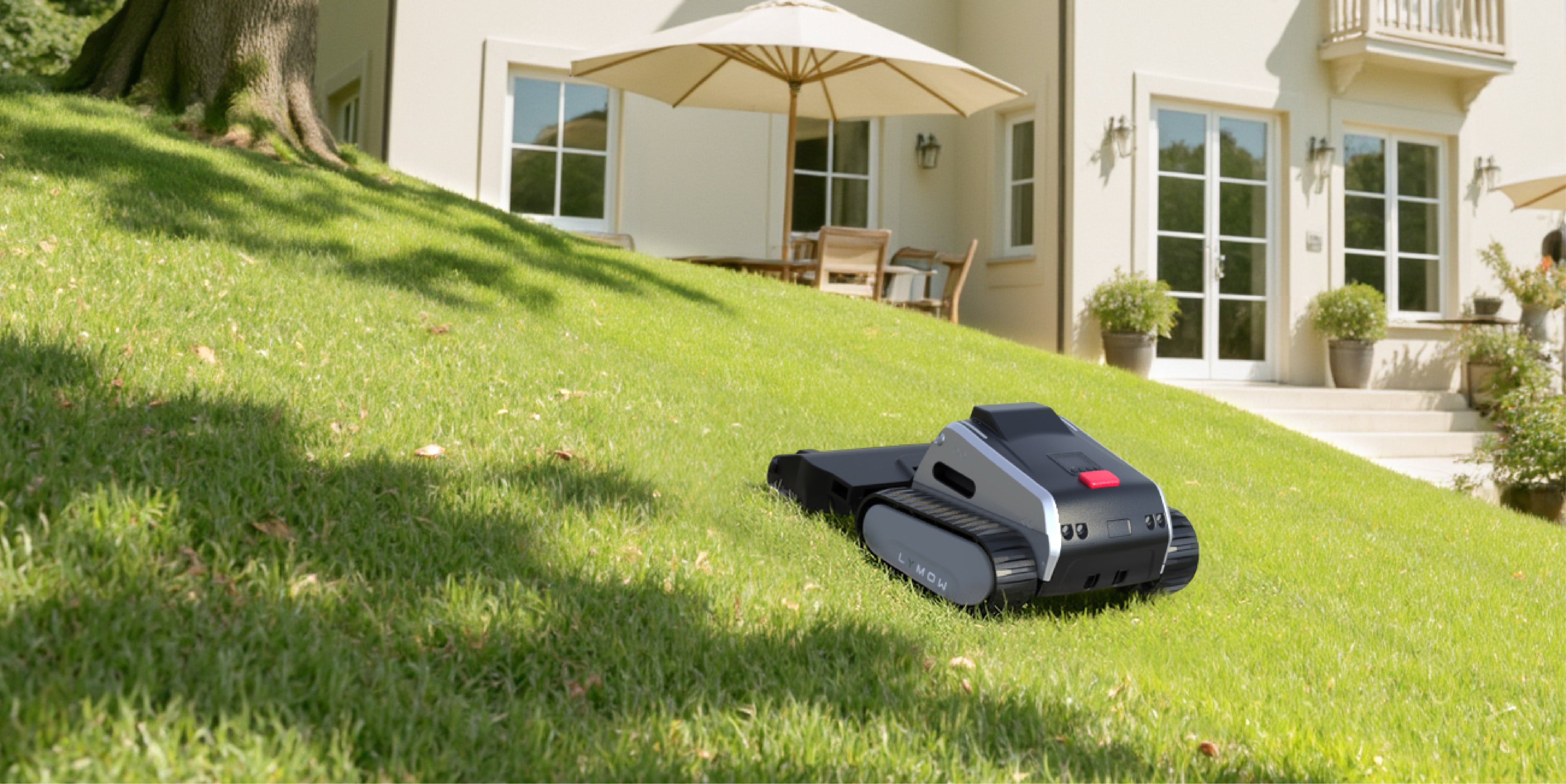 Beyond Dollars: The Real Cost of Lawn Care