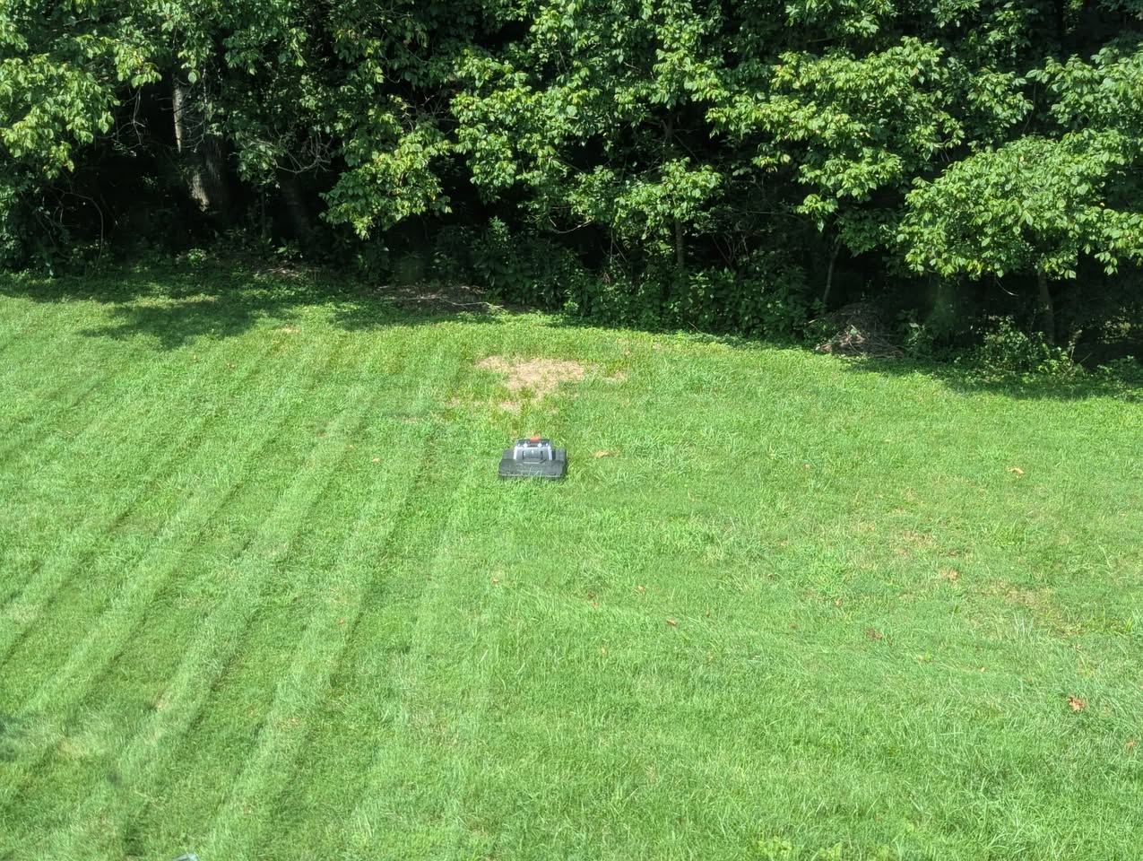 What Are Robotic Mowers? A Beginner’s Guide