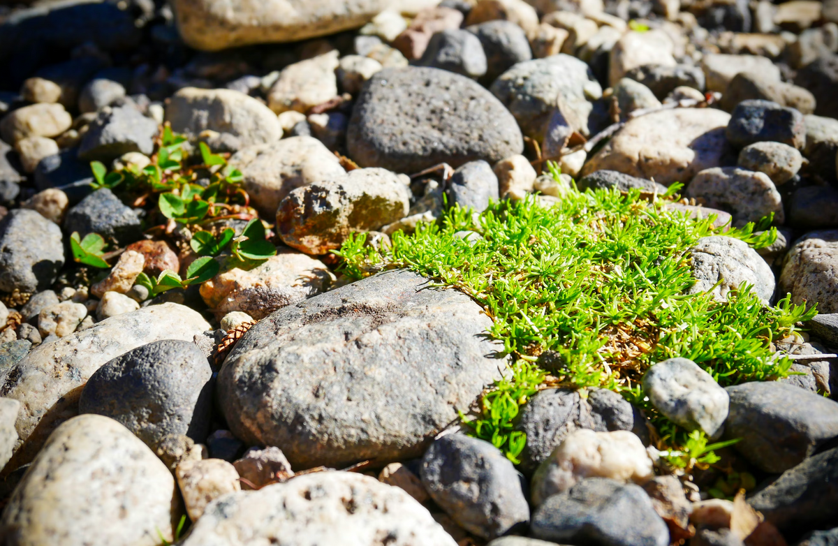 Gravel, Small Stones